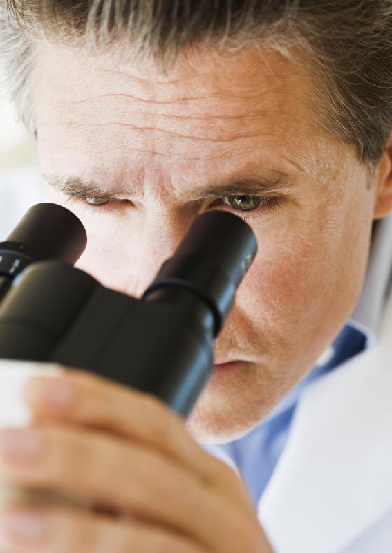 A small amount of blood from a newborn's heel will be sent to a lab for analysis during testing for PKU.