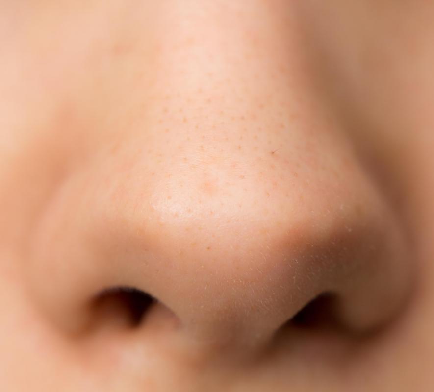 Nose hair helps trap bacteria before it gets into a person's bloodstream.
