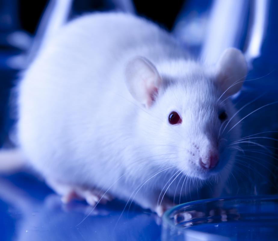 THC, an element in cannabis, has been shown to reduce tumor growth in mice.