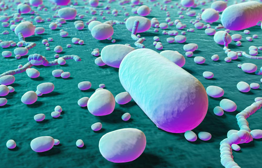 Septicemia is caused by bacteria in the bloodstream.