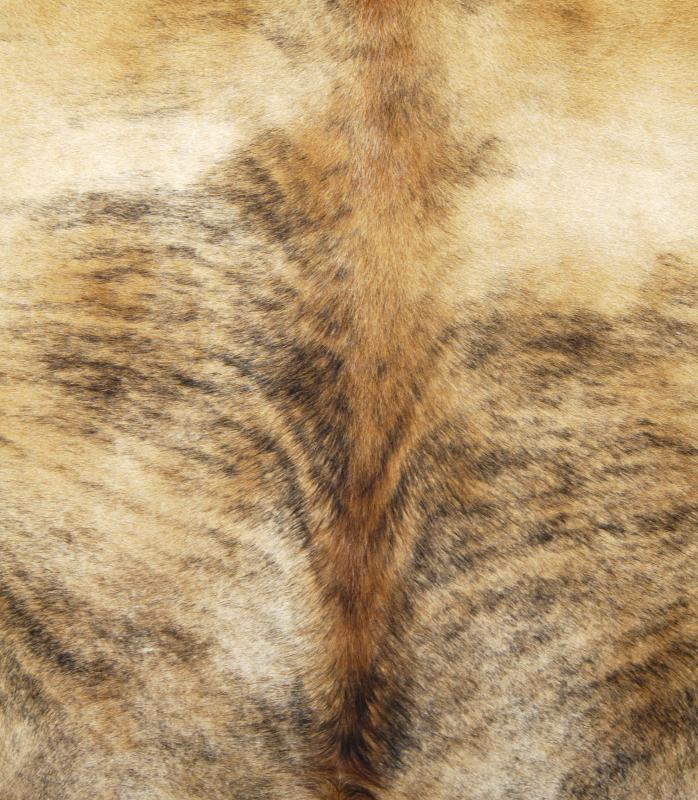 Most animal hide rugs do not last very long.