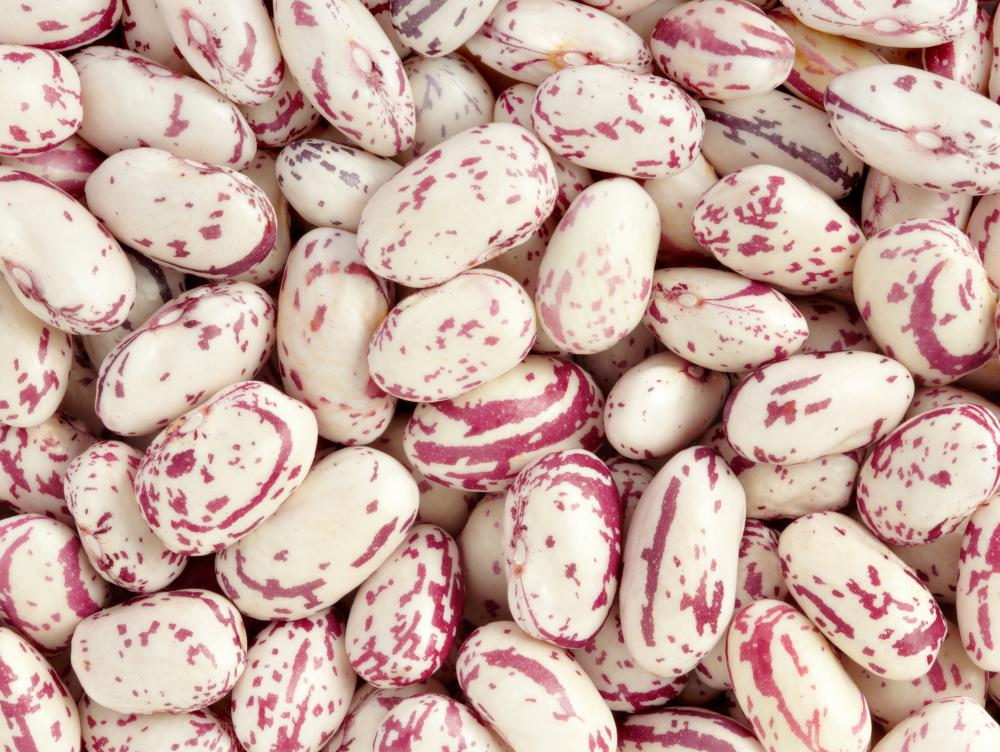 Beans contain molybdenum.