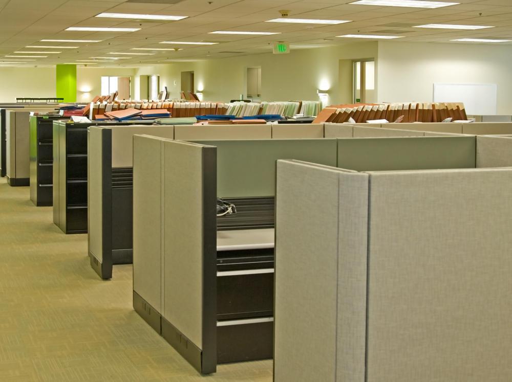Cubicle workers might be said to be "paper pushers".
