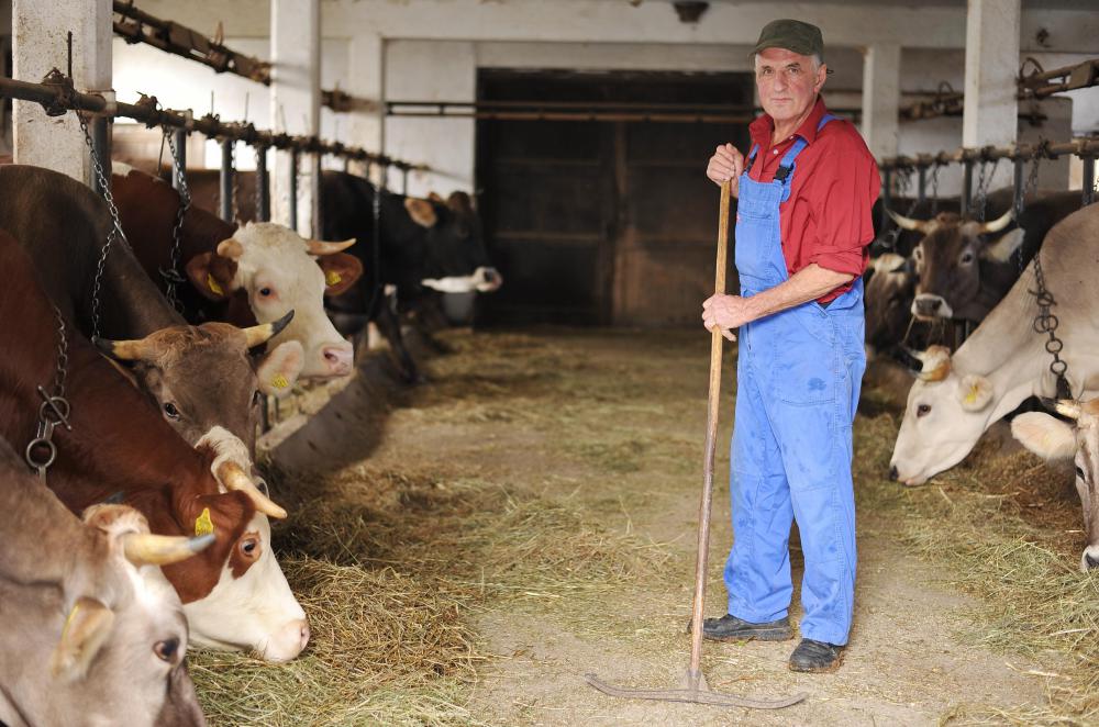 Life on a farm will consist of cleaning out stalls.