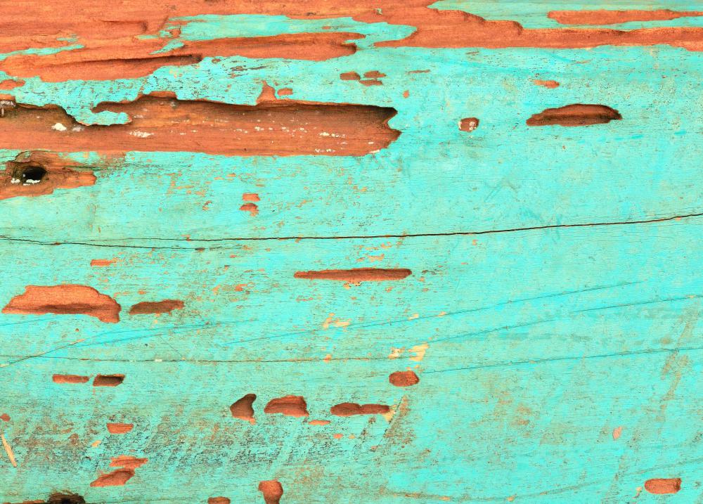Wood siding is susceptible to termite damage.