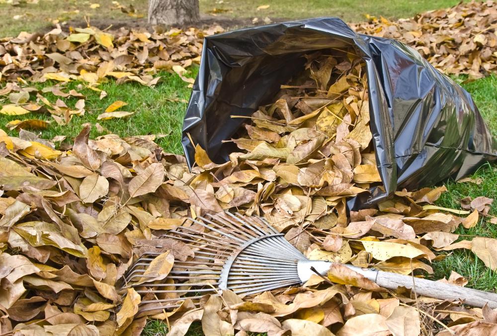 Low-impact exercises, such as raking leaves, are best for the elderly.