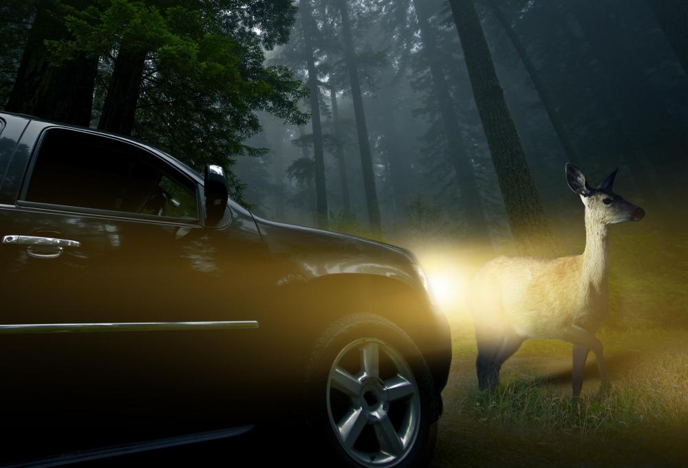 It has been argued that some animals, such as deer, might respond by freezing rather than either fighting or fleeting.