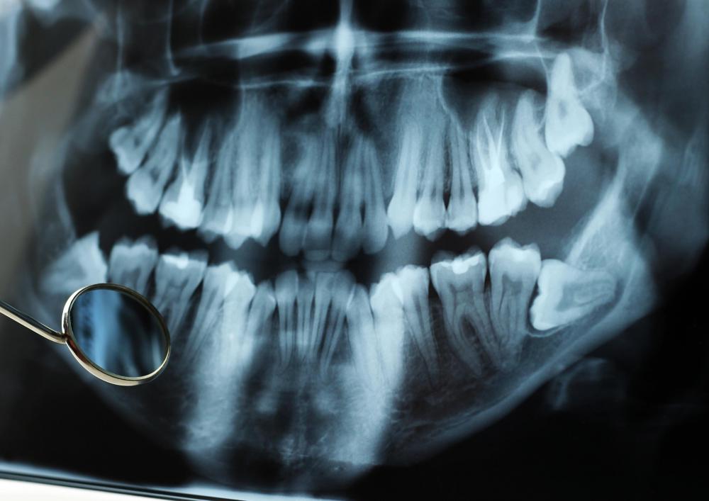 The expression "cut your teeth", which probably comes from the painful realities of human dental development, refers to gaining your first significant experience of something.