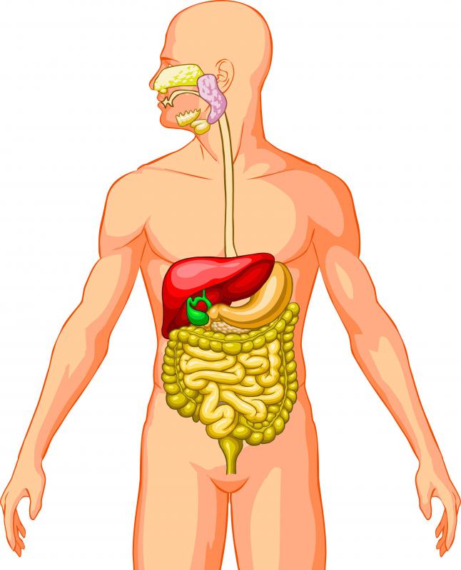 Polyps can form in the mouth, esophagus, and nose, though most commonly grow in the intestines.