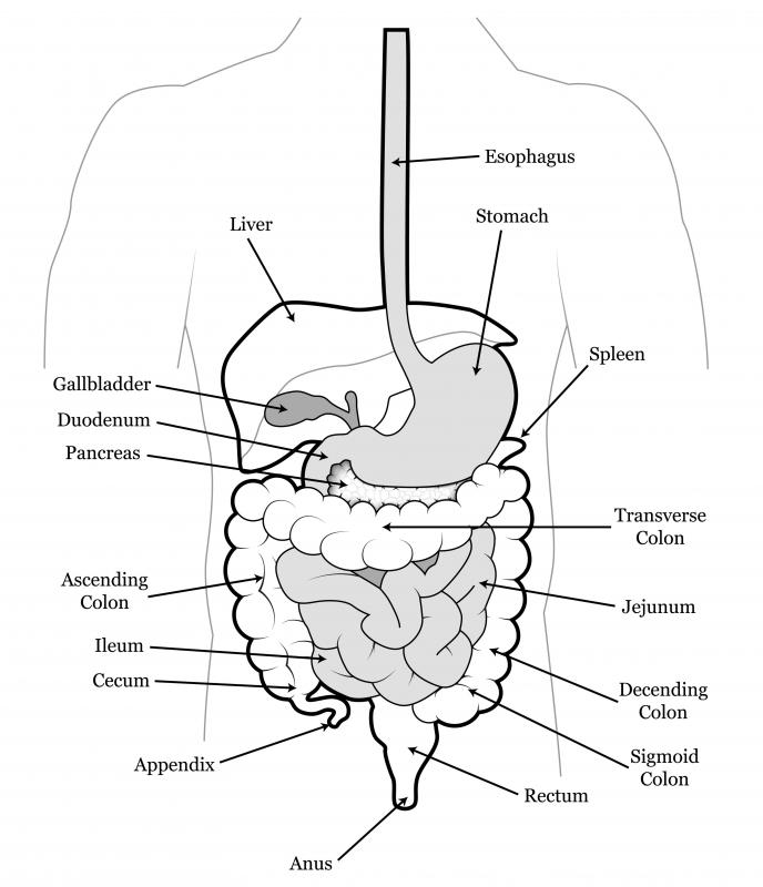 The rectosigmoid colon joins the sigmoid colon to the rectum.