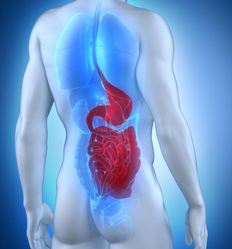 Acetyl-CoA is a molecule in the metabolism process that is used for energy production.