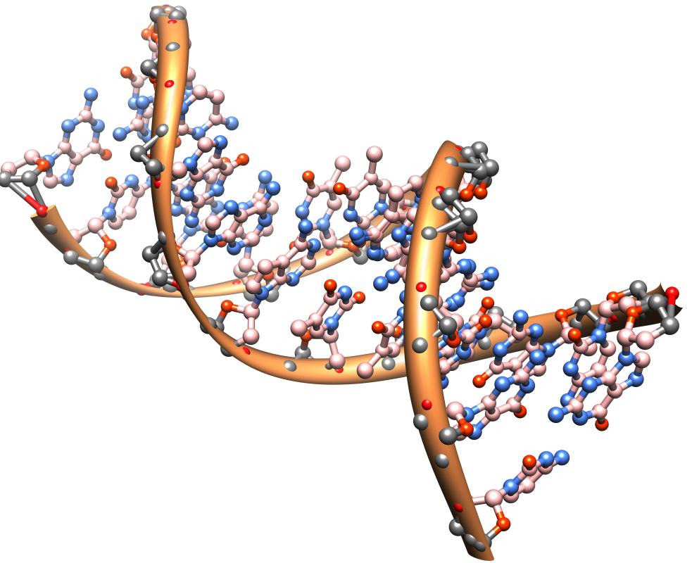 Creation of an accurate model of DNA was a major milestone for the medical biochemistry field.