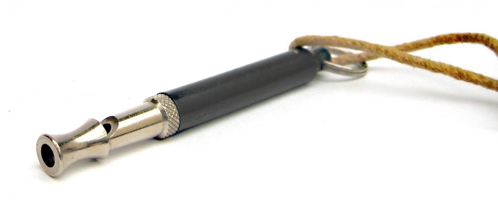 Blowing a dog whistle might deter some barking dogs.