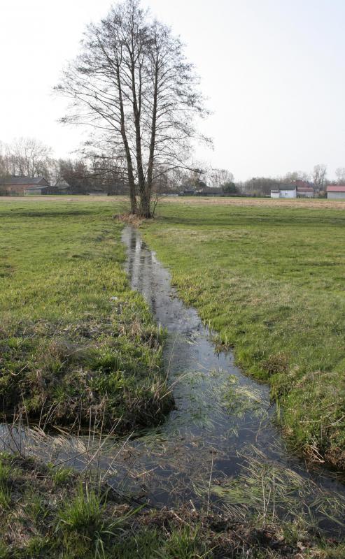 An easeman may be granted to run a ditch through a neighbor's property for drainage purposes.