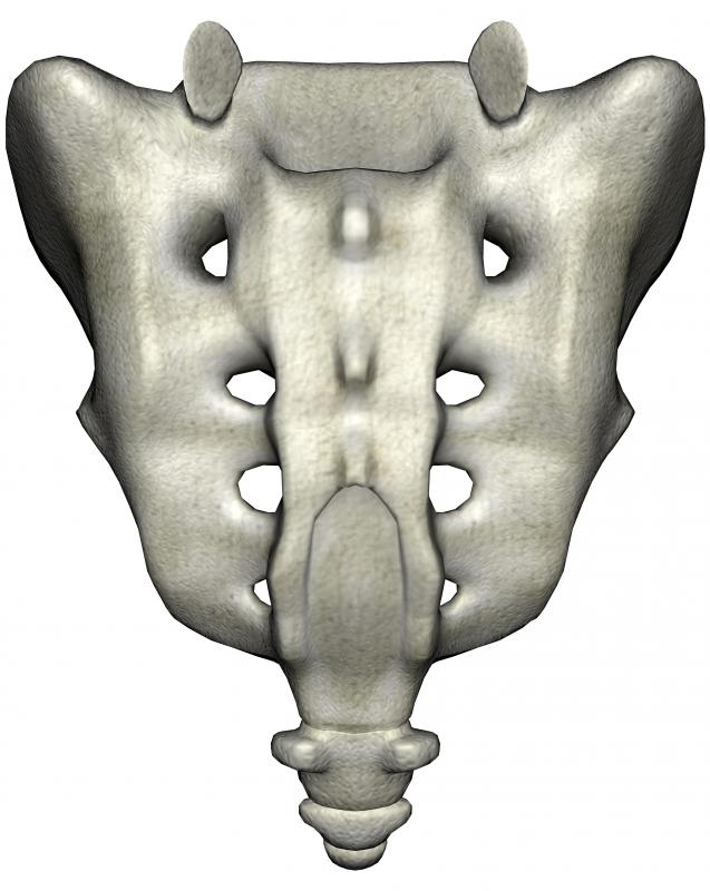 The five lower vertebrae of the lumbosacral spine fuse together to form the sacrum.