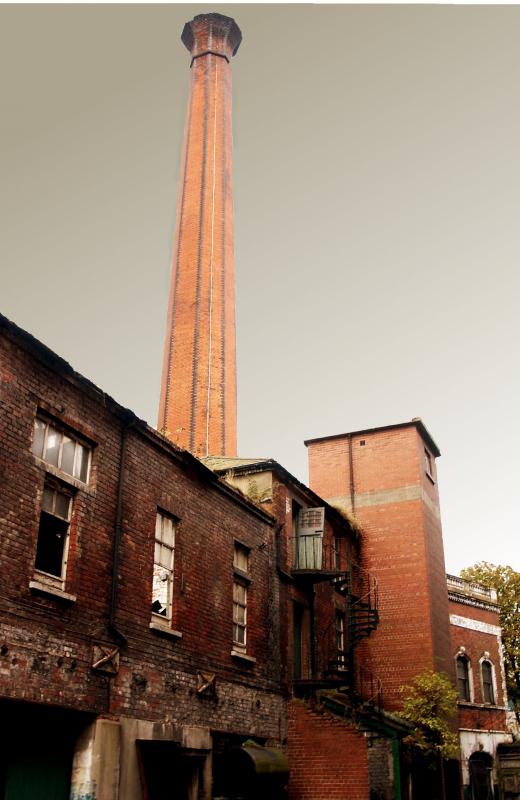 Factory pollution became a large problem in cities with industrial growth.