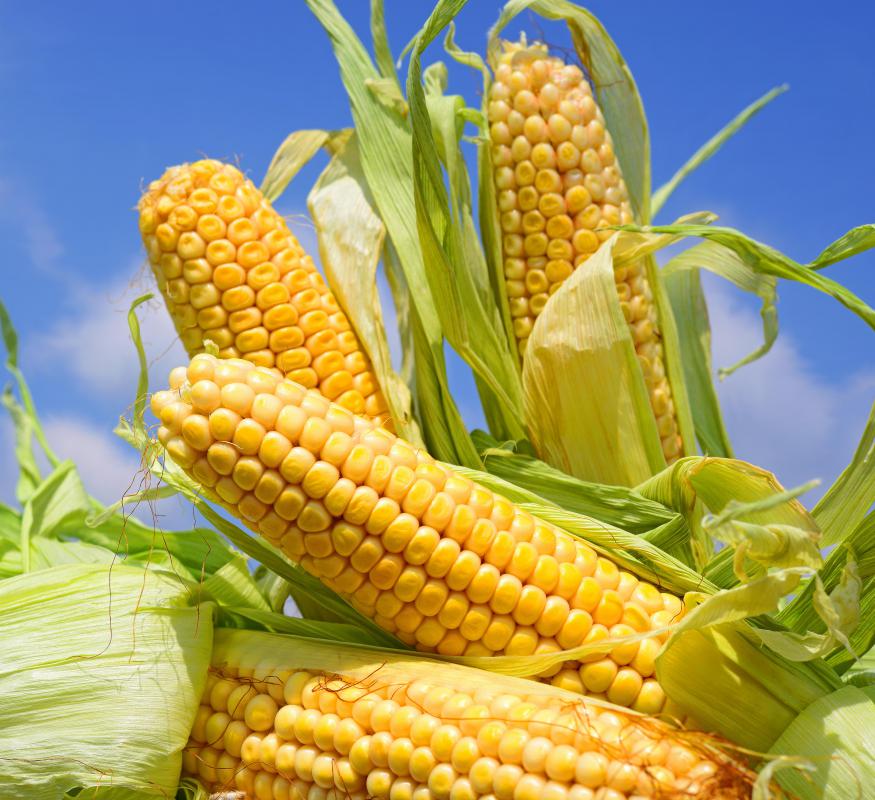 Quicklime was used in Mesoamerica to treat corn.