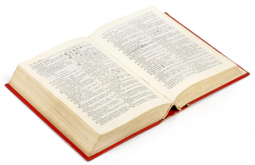 A dictionary.