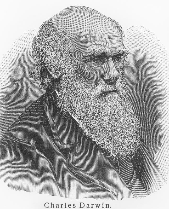 Charles Darwin called blushing "the most peculiar and most human of all expressions".