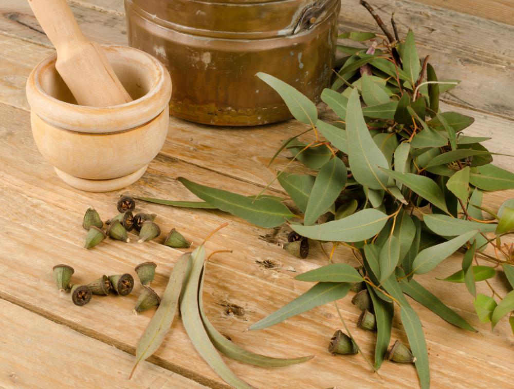 Eucalyptus oil is naturally antibacterial.