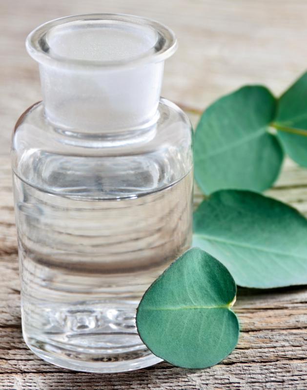 Eucalyptus oil contains alpha-pinene.