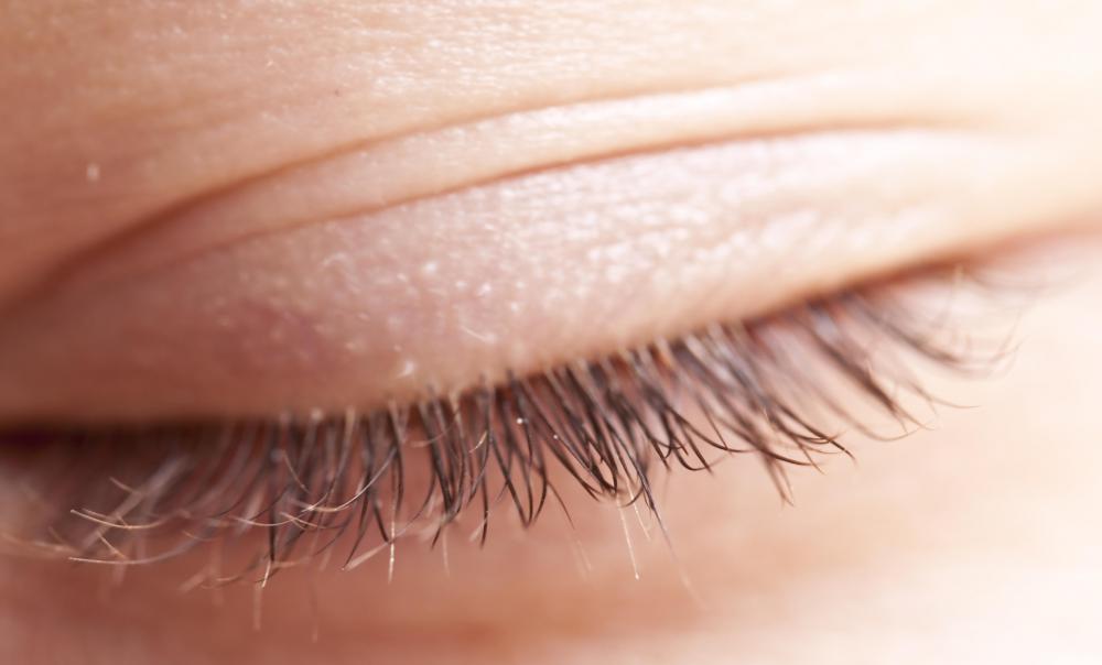 Sebaceous glands can be found on a person's eyelids.