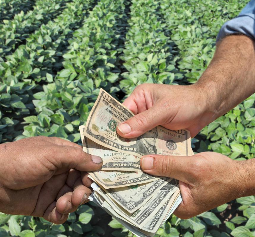 Agricultural money often goes toward farm subsidies.