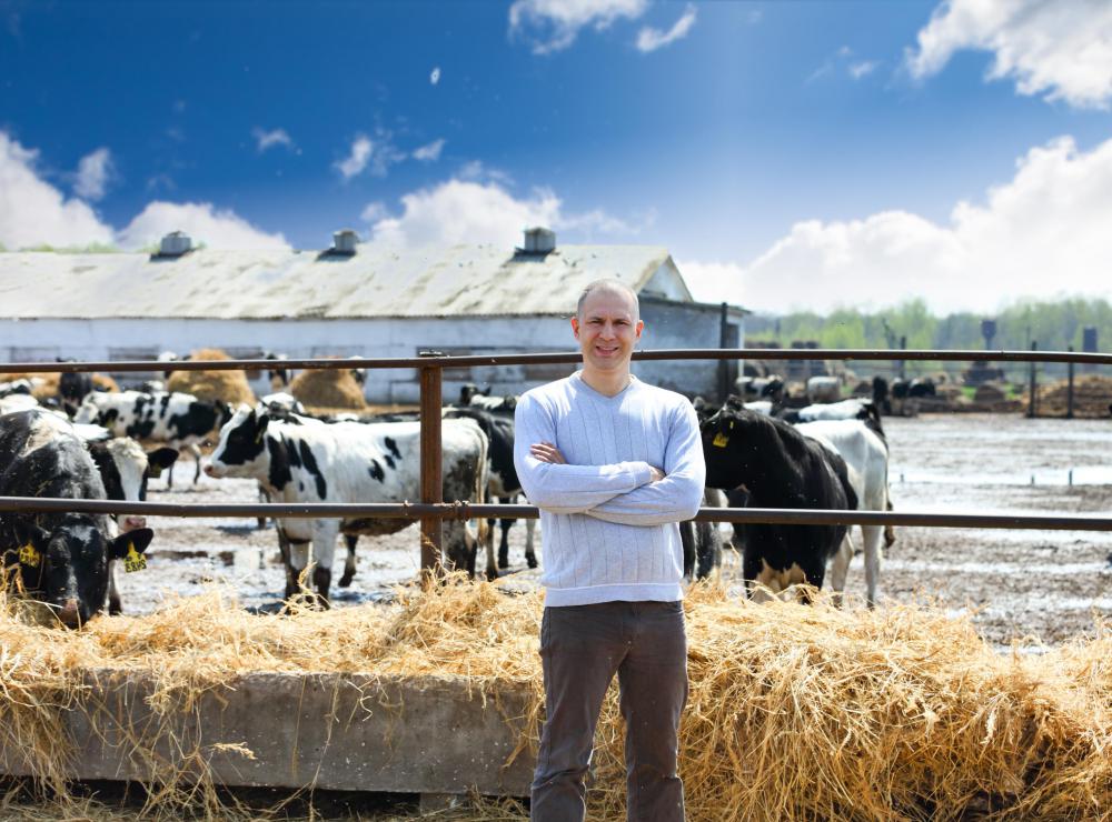 A family farm is a common small business in the Midwest.