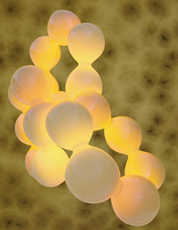 Fat cells store energy in the form of fat.