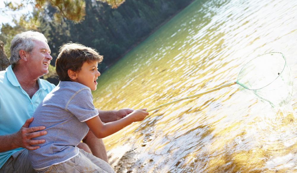 A father and son fishing with a hand net.