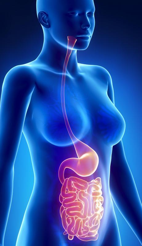 It is estimated that half of all people have precancerous lumps in their intestines.