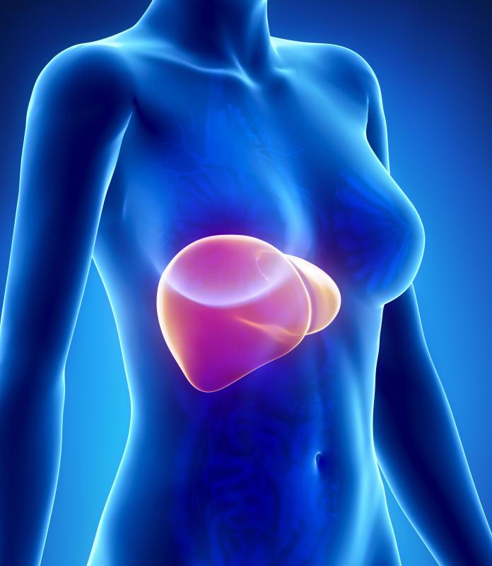A content of more than 10 percent of the liver's total weight is considered fatty.