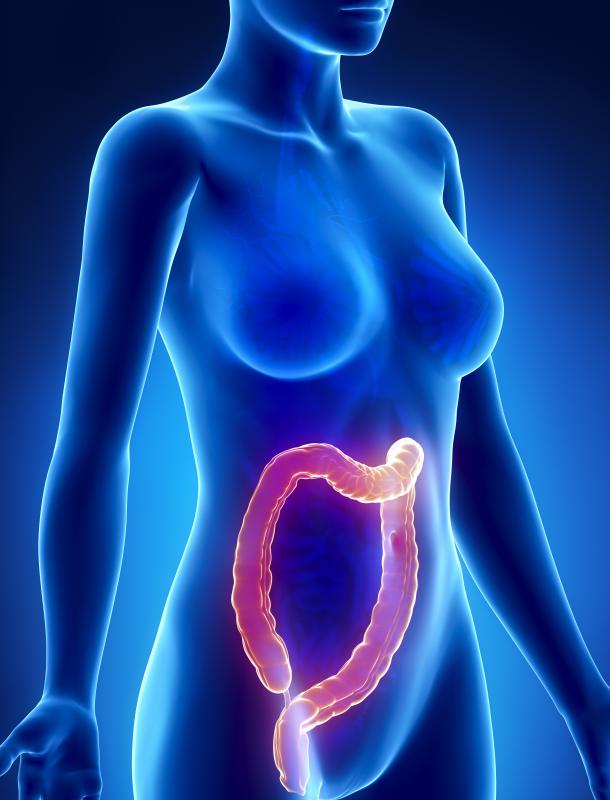 A proctologist may work with a gynecologist to deal with specifically female issues.