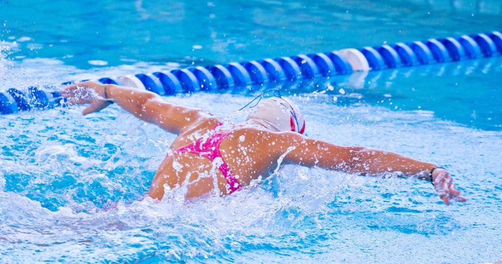 Freestyle swimmers need not limit themselves to a single type of stroke.