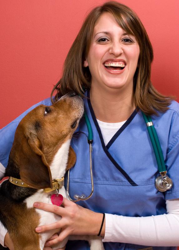A veterinary assistant may require direct supervision.