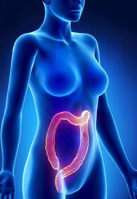 Maintaining good colon health is important because several diseases may negatively impact its function.