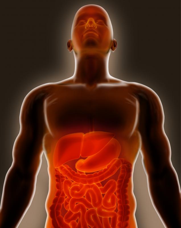 Flatulence is the presence of excessive gas in either the stomach or intestinal track.