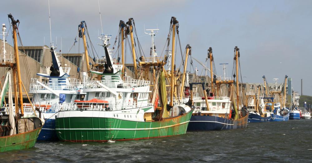 Overfishing can deplete a fish population.