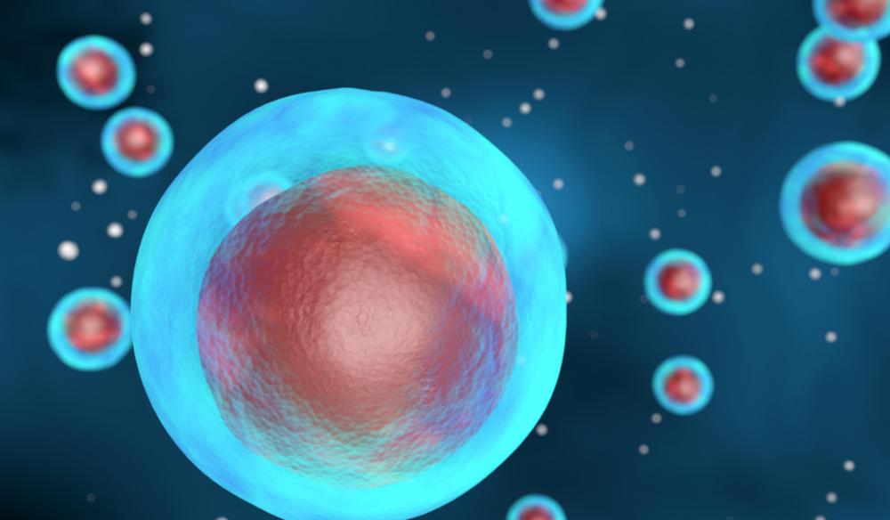 Protein synthesis refers to the process of individual cells constructing proteins.