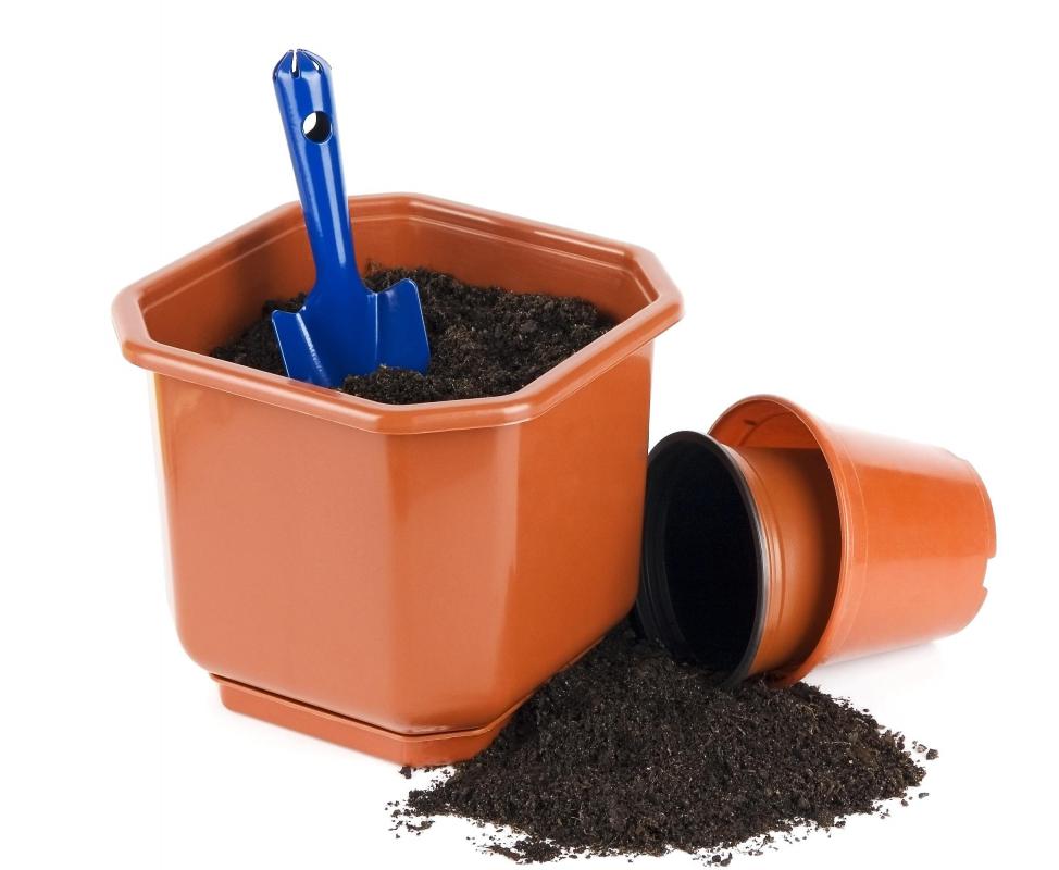 Once rooting hormone has been applied, the cutting is ready to be placed in soil.