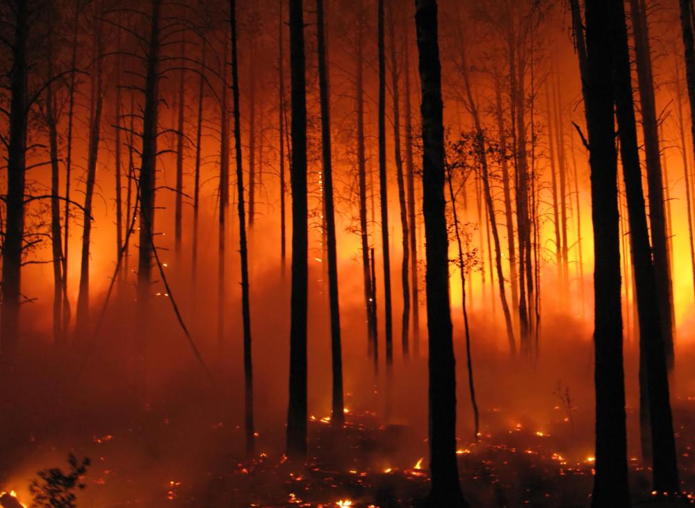 Acetone may be produced from forest fires.