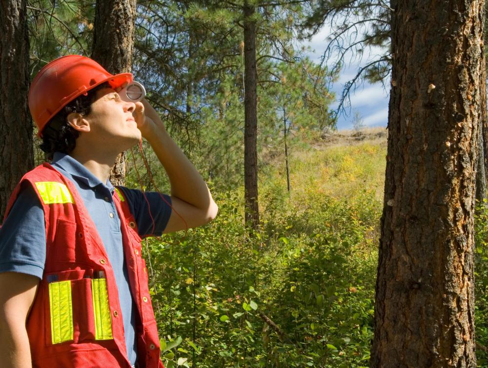 Clinometers may be used in the forestry profession.