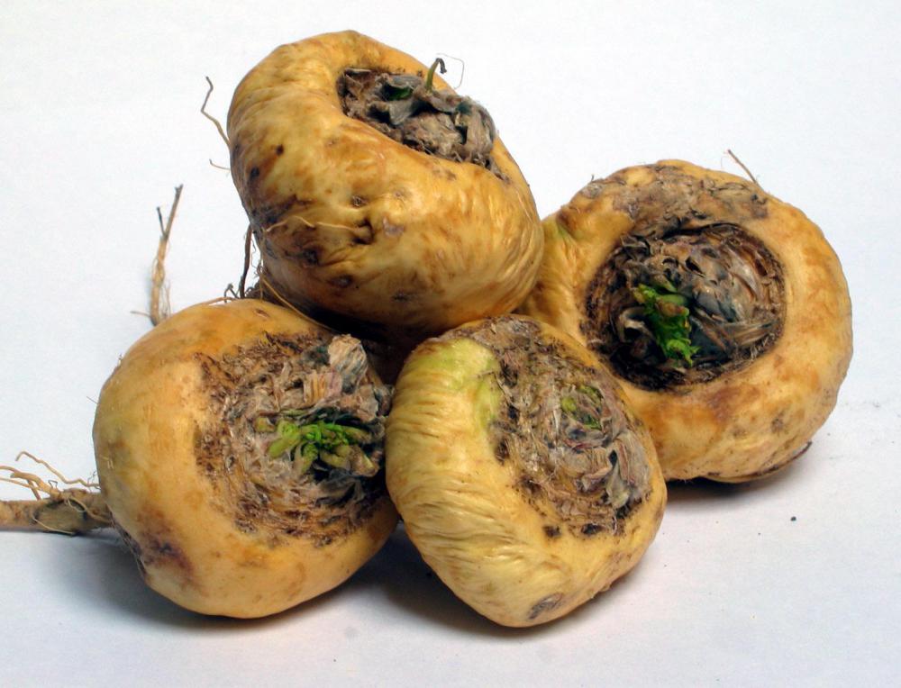 Maca root may control blood sugar in some individuals.