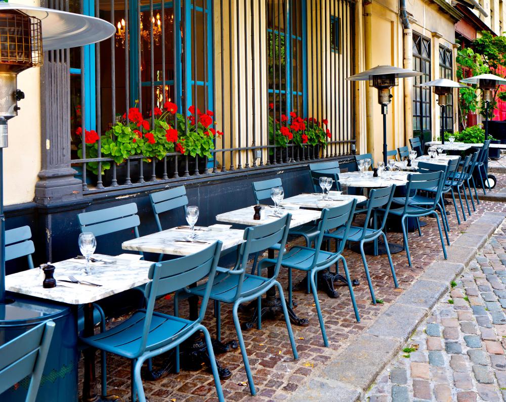 An accountant who opens a bistro on the side is an example of a chicken entrepreneur.