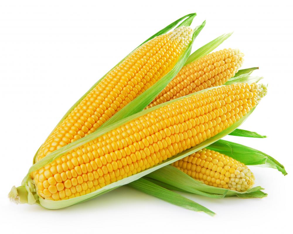 Corn uses polysaccharide as a storage unit for starch.