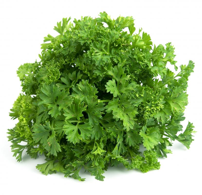 Parsley may be able to start a delayed period.
