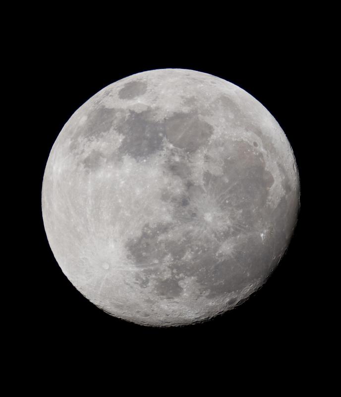 Wolfsbane potion allows werewolves to remain harmless during the full moon.