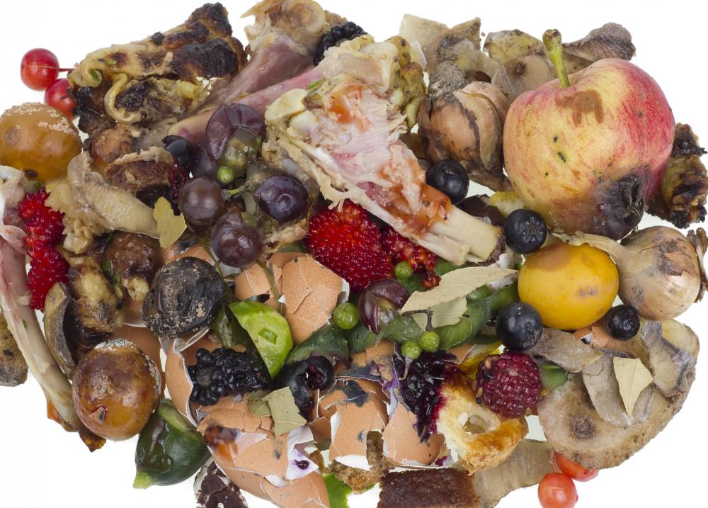 Rotting garbage and pet feces can attract flies and cause an infestation.