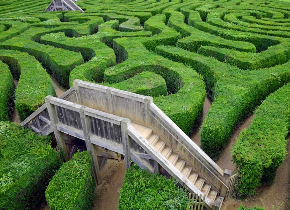 Mazes are sometimes made from hedges.