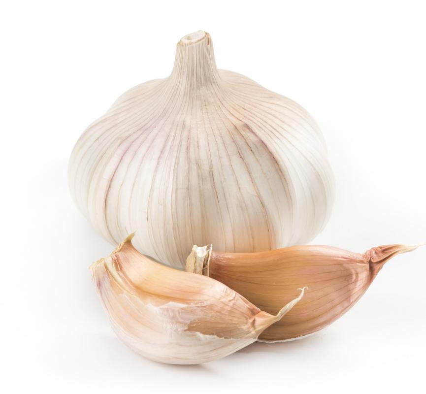 Garlic cloves can be used to make a homemade insect repellent.